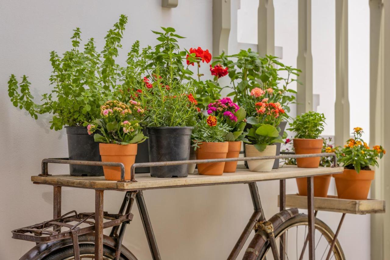 Amarada City Suites Rhodes City Dış mekan fotoğraf